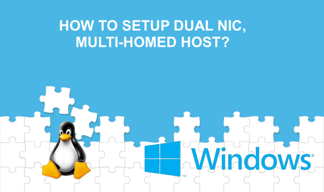 Dual NIC Multi-homed Host